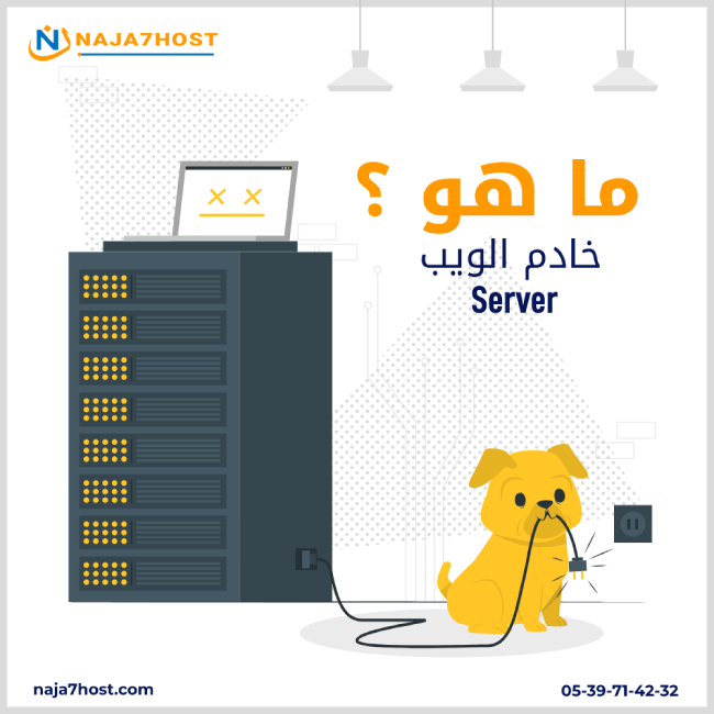 ما هو الخادم (Server) ؟